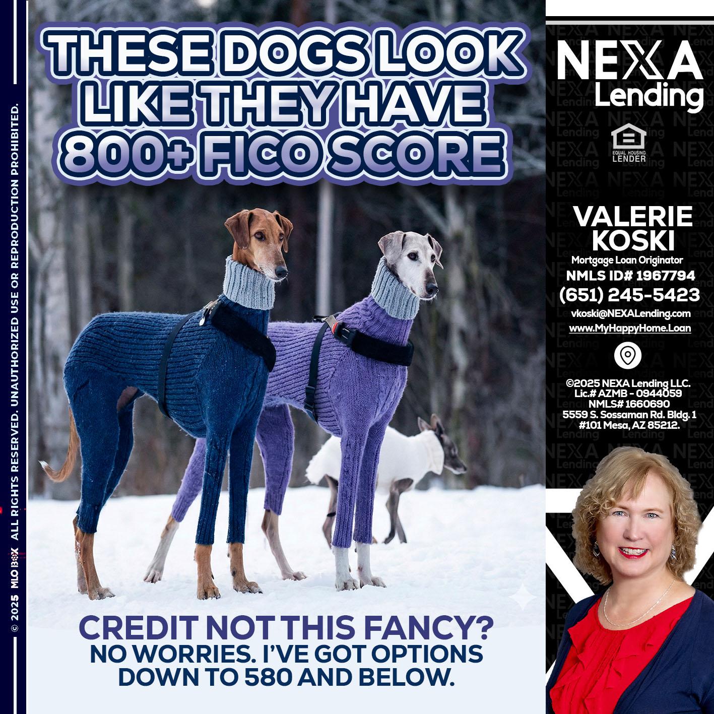 THESE DOGS LOOK - Valerie Koski -Mortgage Loan Originator